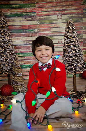 Navidad2014-4503