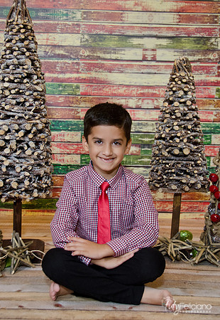 navidad 2014-11415