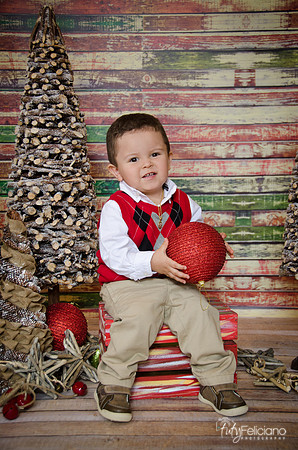 Navidad 2014-8040