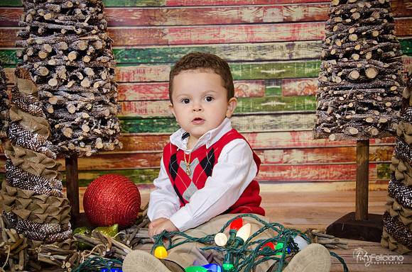 navidad 2014-9381