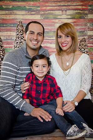 Navidad 2014-8242