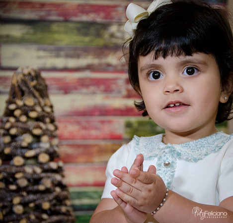 navidad 2014-10871