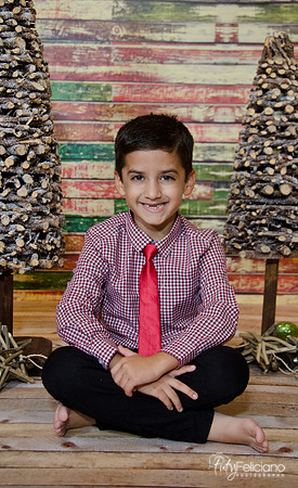 navidad 2014-11420