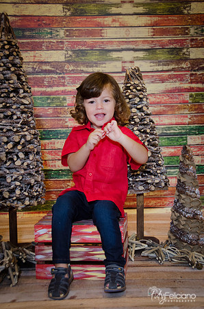 navidad 2014-11536