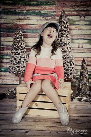navidad 2014-2836