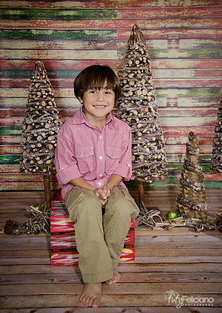 Navidad 2014-1547