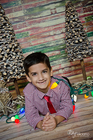 navidad 2014-11471