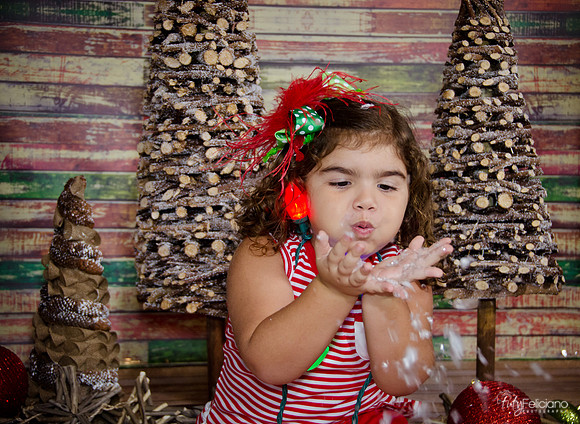 Navidad 2014-1622