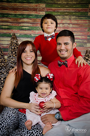Navidad2014-4459