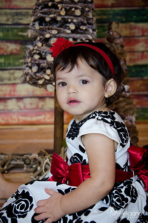 Navidad-15010-2