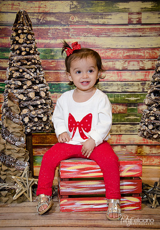 Navidad-15675