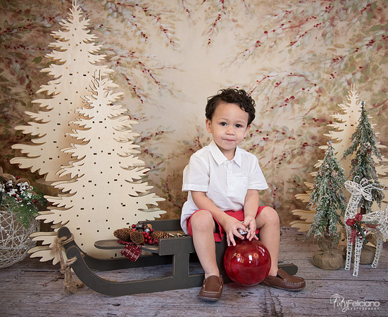 Navidad-9318