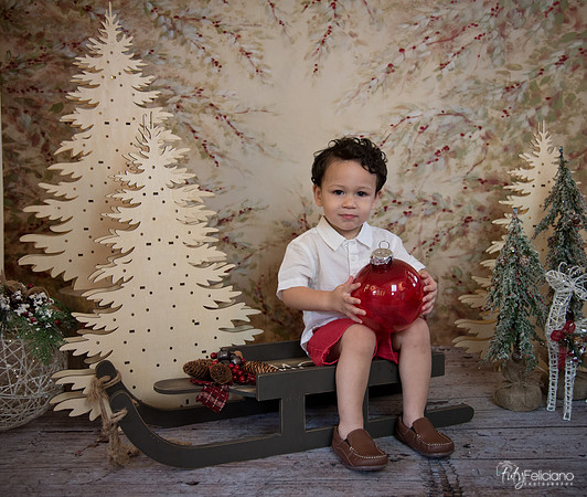 Navidad-9362