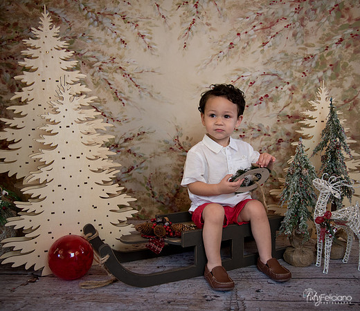 Navidad-9281