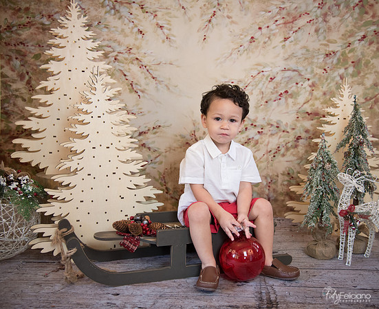 Navidad-9319