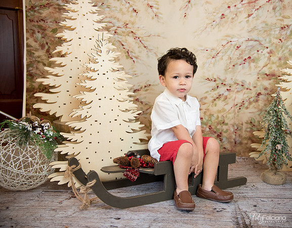 Navidad-9477