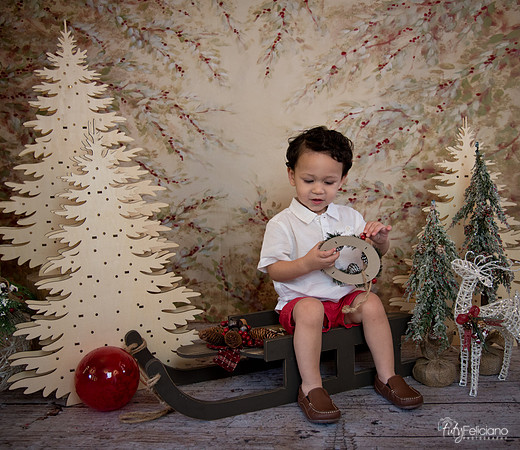 Navidad-9283