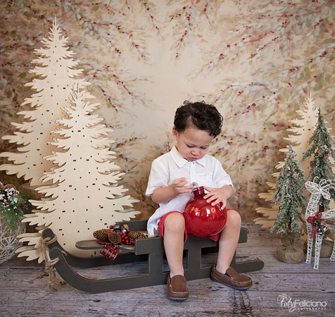 Navidad-9292