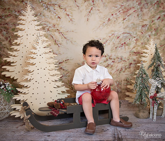 Navidad-9329