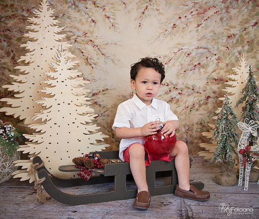 Navidad-9327