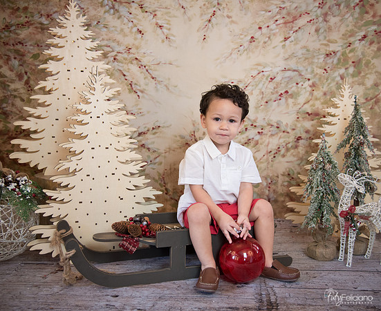 Navidad-9320