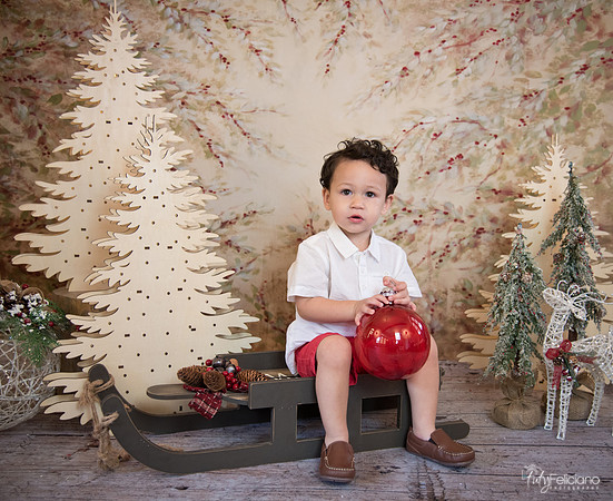 Navidad-9315