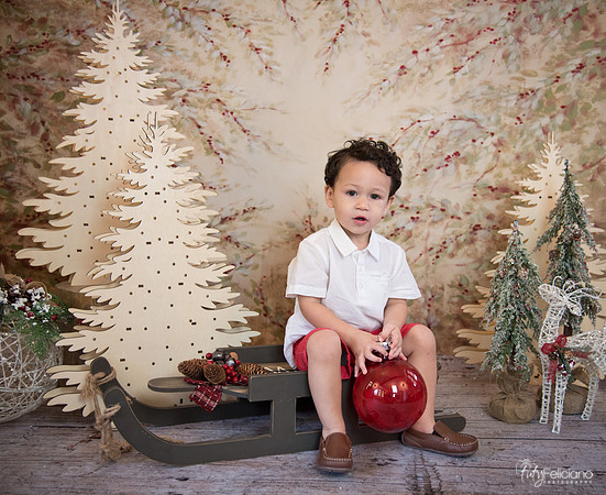 Navidad-9317