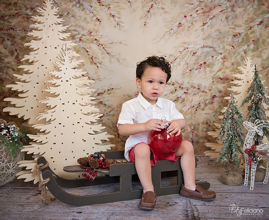 Navidad-9325