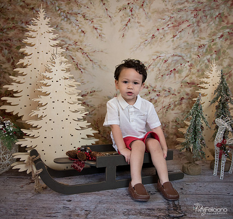 Navidad-9370