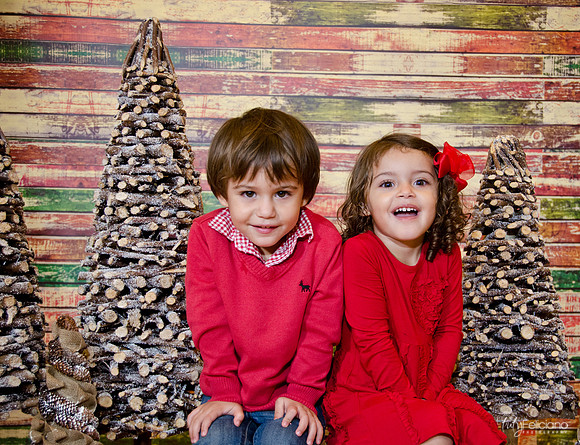 navidad 2014-1207