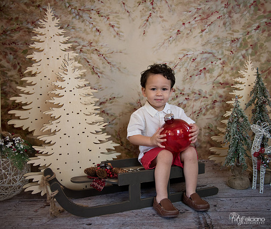 Navidad-9361
