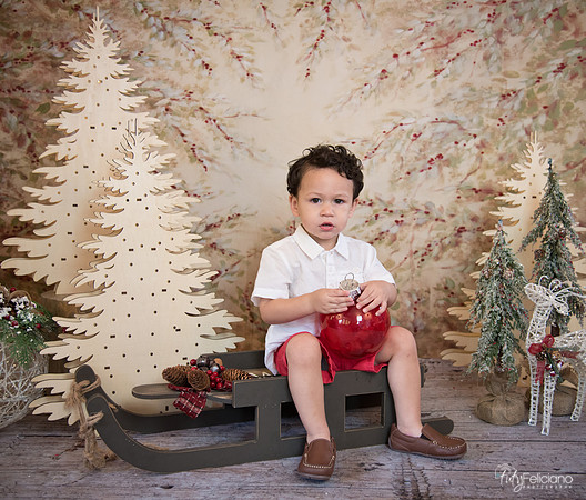 Navidad-9326