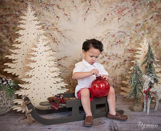 Navidad-9323
