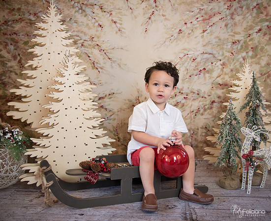 Navidad-9316