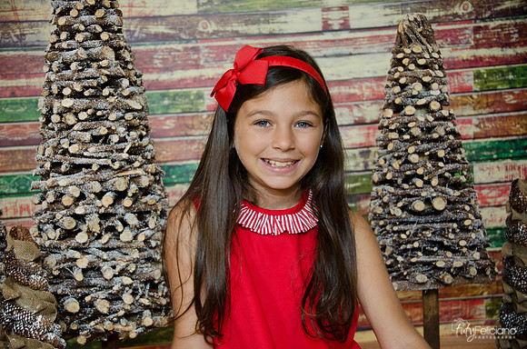 navidad 2014-11148