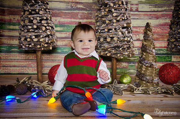 navidad 2014-2661