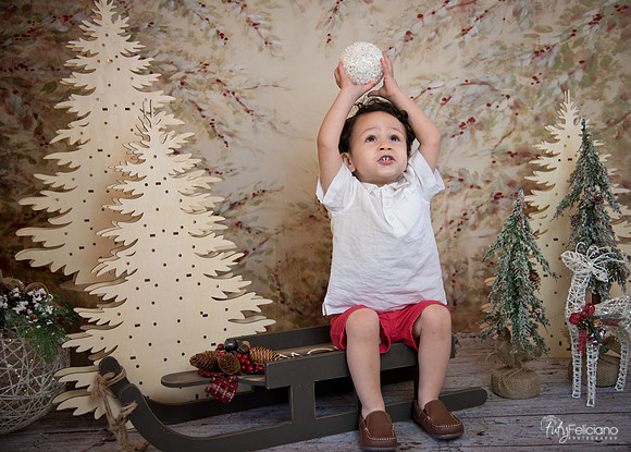 Navidad-9425