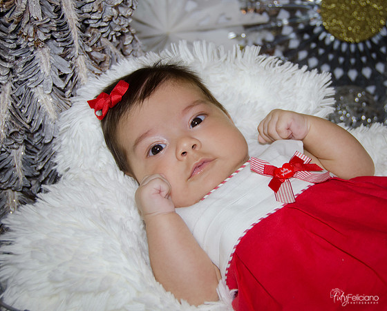 navidad 2014-1735