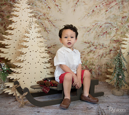 Navidad-9482