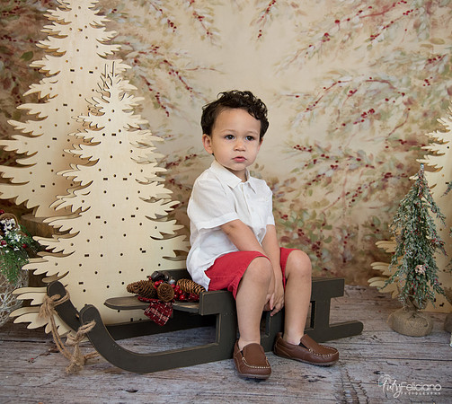 Navidad-9481
