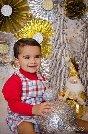 navidad 2014-9046