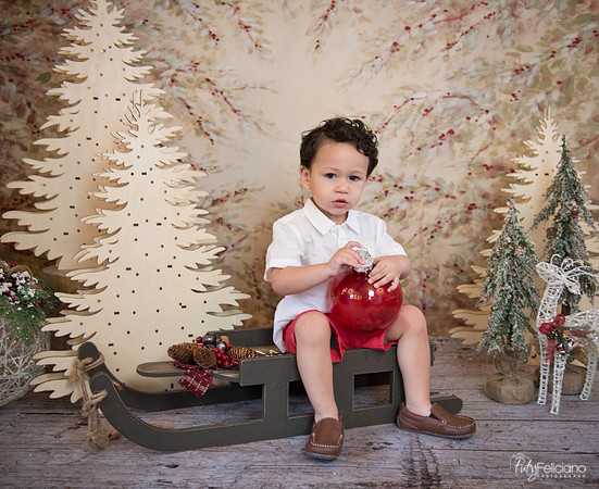 Navidad-9324