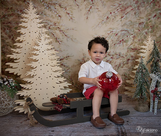 Navidad-9363