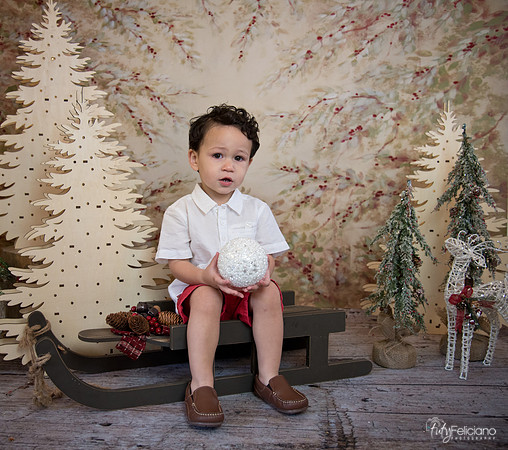 Navidad-9413