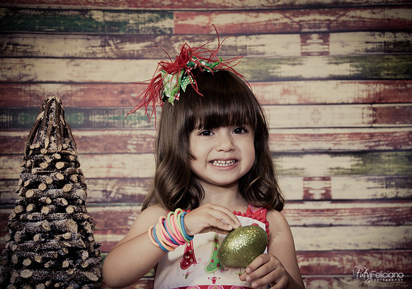 Navidad 2014-2048