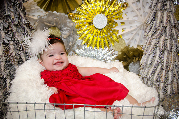 Navidad 2014-7812