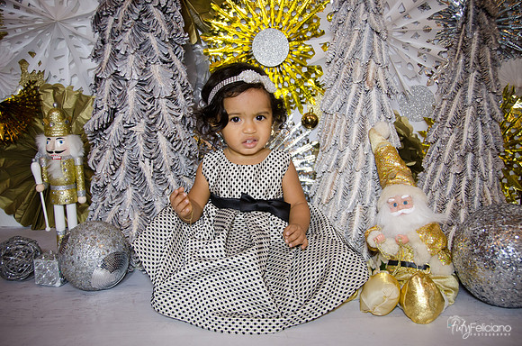 Navidad 3 2014-1608