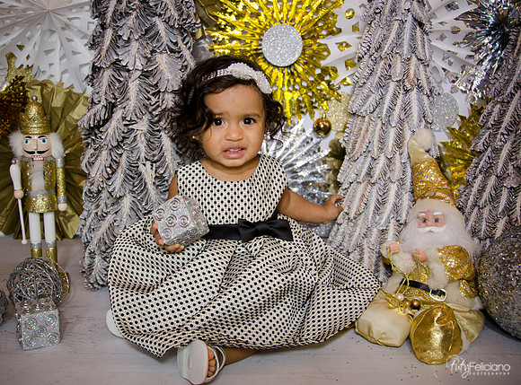 Navidad 3 2014-1653