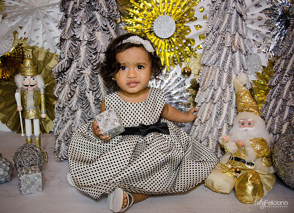 Navidad 3 2014-1646