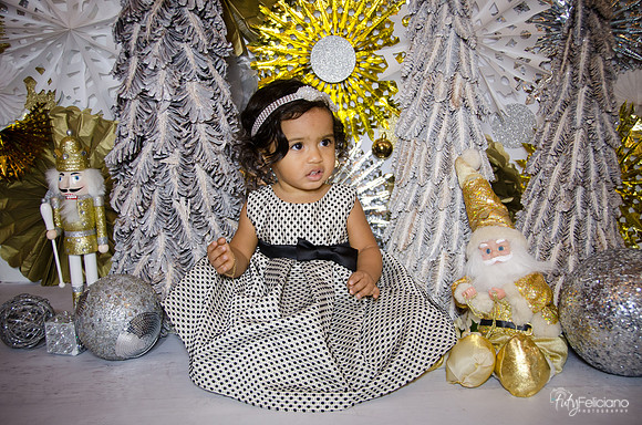 Navidad 3 2014-1603